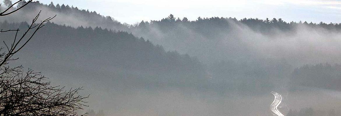 Misty Morning on Frizzell Hill